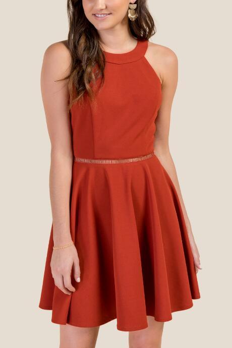 Francesca's Estella Lace Back Skater Dress - Cinnamon