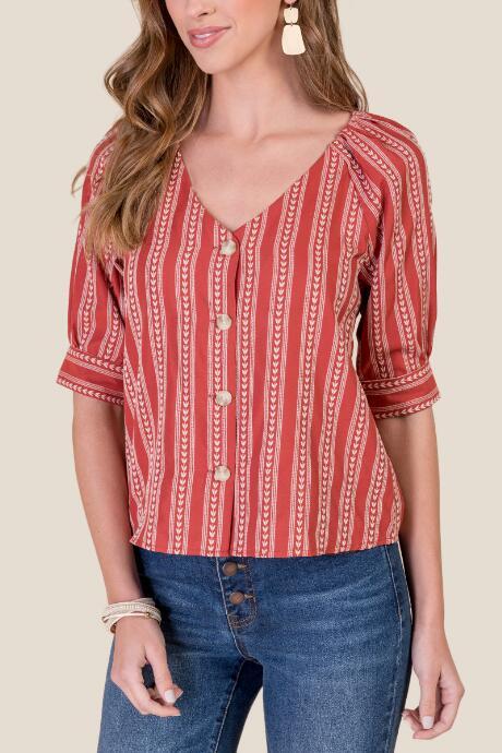 Francesca's Abigail Embroidered Button Down Top - Cinnamon