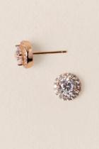 Francesca's Holly Cubic Zirconia Stud Earring In Rose Gold - Rose/gold