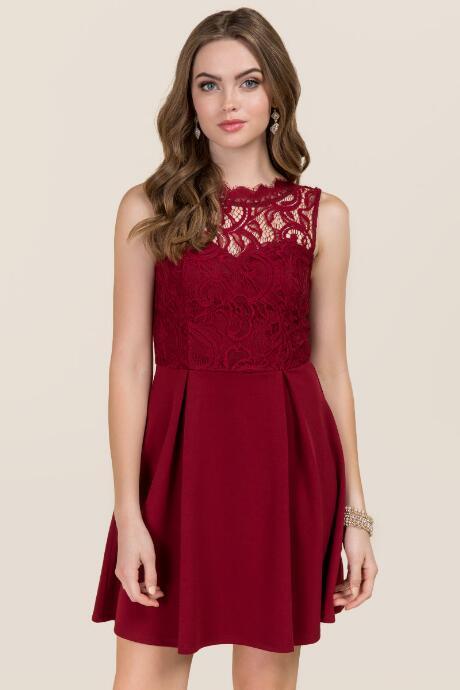 Francesca's Faelyn Lace A-line Dress - Wine