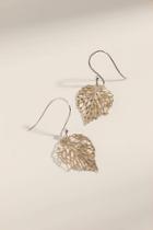 Francesca's Tara Sterling Open Leaf Drop Earrings - Silver