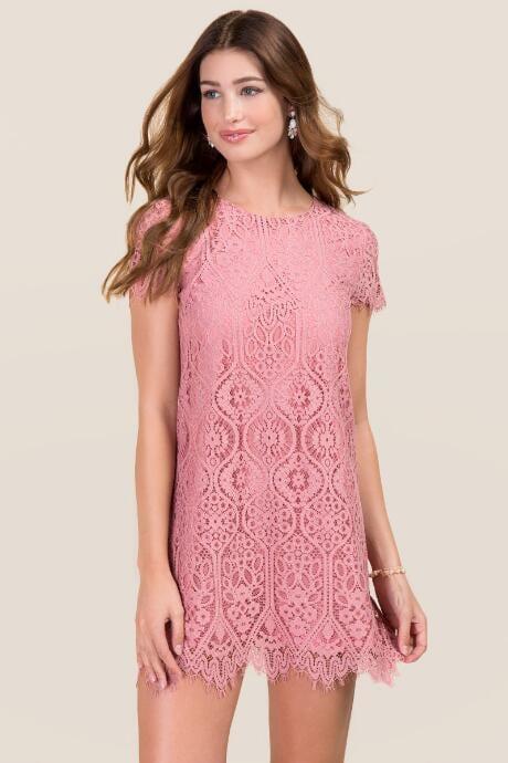 Francesca's Vanna Scalloped Lace Shift Dress - Rose