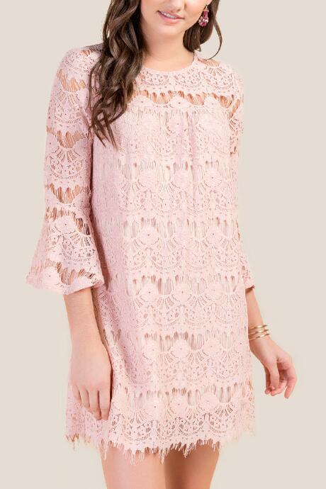 Francesca's Phoebe Lace Shift Dress - Blush