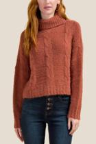 Francesca's Nadia Turtle Neck Cropped Sweater - Rust