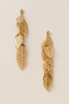 Francesca's Wilson Leaf Drop Earrings In Gold - Gold