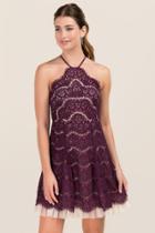 Francescas Rydel Y Neck Lace Tulle Hem A-line Dress - Purple