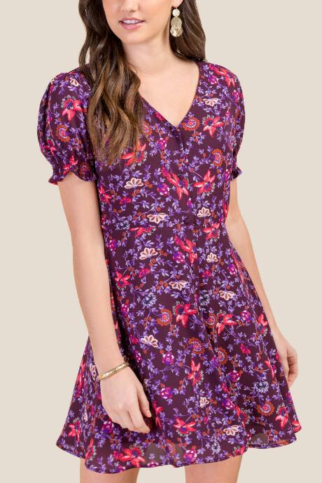 Francesca's Paige Button Front Dress - Purple