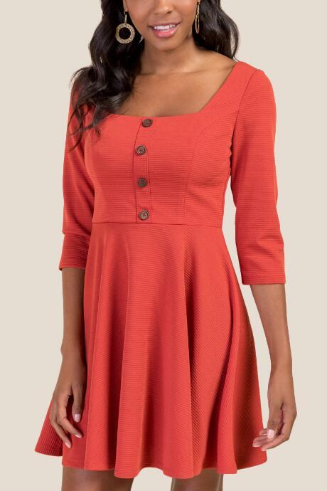 Francesca's Eliana Button Front Skater Dress - Cinnamon