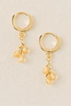 Francesca's Carly Cluster Drop Earring In Champagne - Crisp Champagne