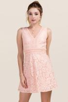 Francesca's Malinda Metallic Lace A-line Dress - Pink