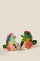 Francesca's Colorful Parrot Studs - Multi