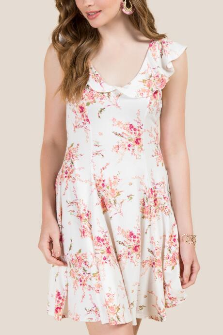 Francesca's Delphine Ruffle Floral A-line Dress - White