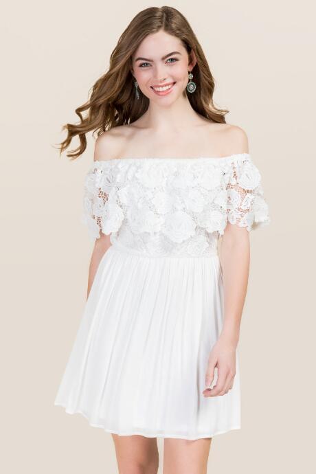 Francesca's Devin Floral Lace A-line Dress - White