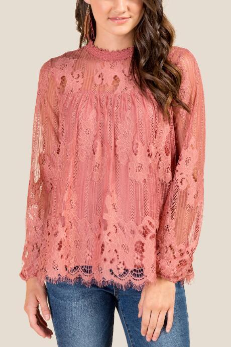 Francesca's Laura Long Sleeve Lace Blouse - Rose
