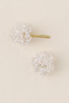 Francesca's Jacy Woven Bead Cluster Stud Earring - Clear