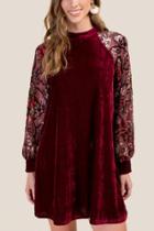 Francesca's Eliana Burnout Velvet Dress - Raspberry