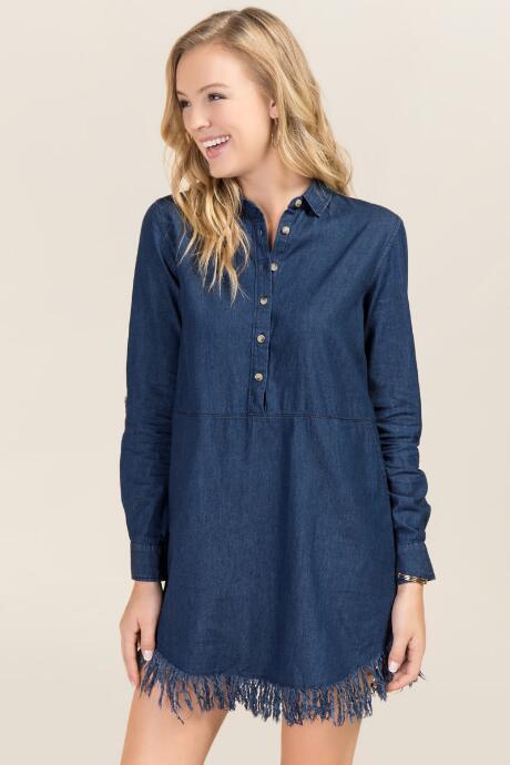 Francesca's Karisa Denim Shift Dress - Chambray