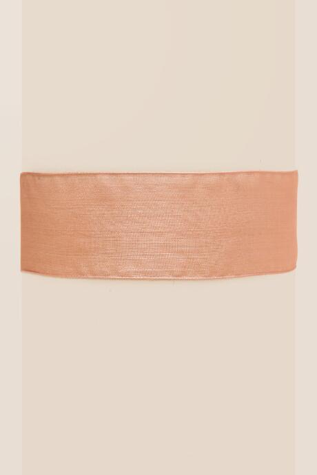 Francesca's Emmaline Sheer Organza Choker - Pale Pink