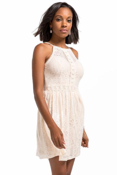 Bird Cage Joella Lace Dress - Blush