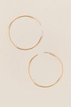 Francesca's Monica Classic Hoop Earrings - Gold