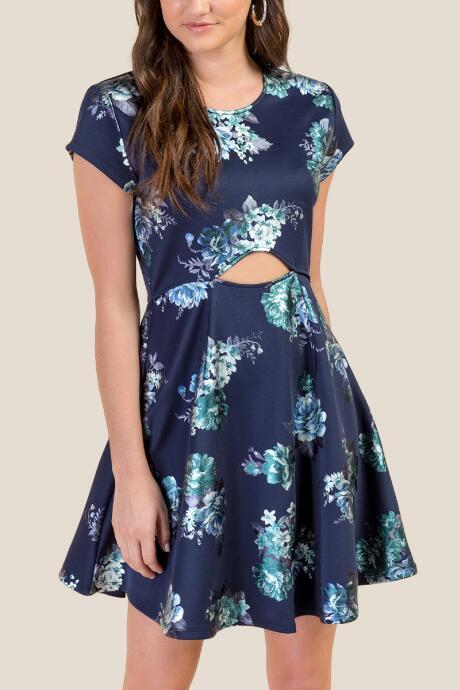 Francesca's Kamila Floral Skater Dress - Ink Navy