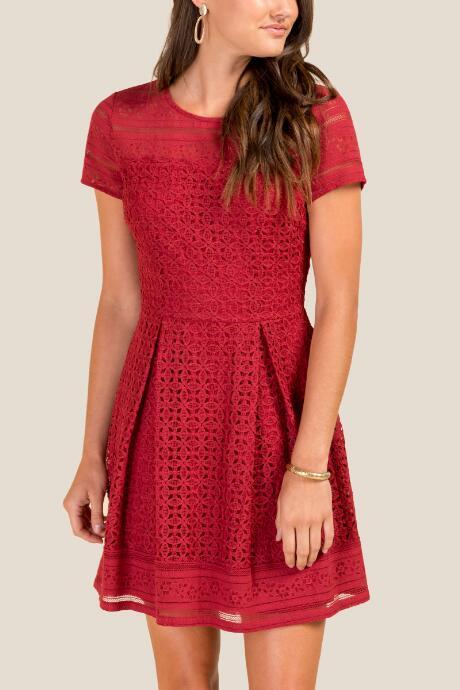 Francesca's Lilly Lace A-line Dress - Brick