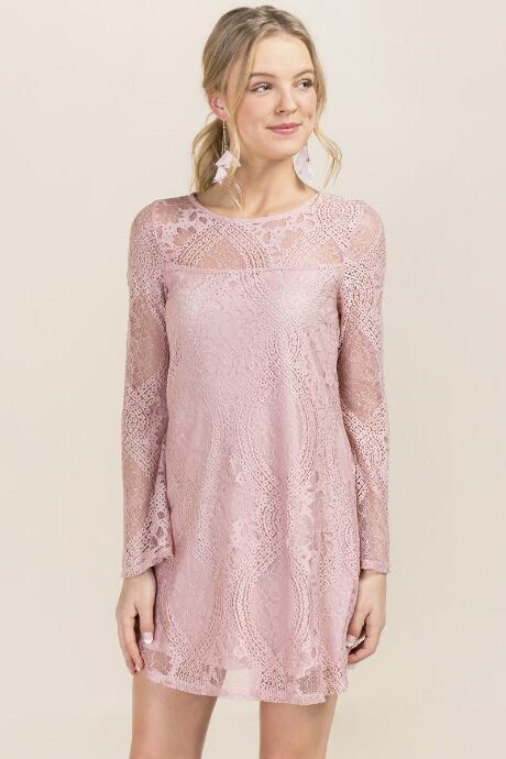 Francesca's Clare Lace Shift Dress - Mauve