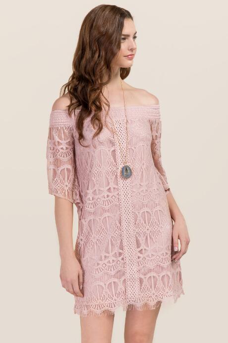 Francesca's Rosemary Off The Shoulder Lace Dress - Mauve