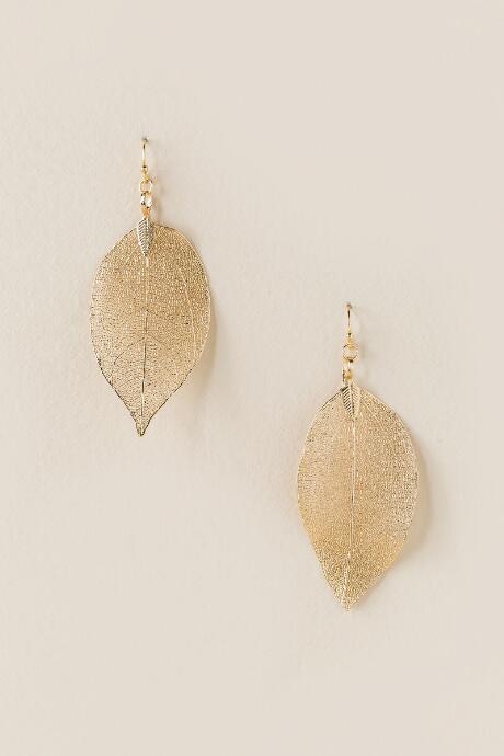 Francesca's Willa Delicate Leaves Drop Earring - Gold