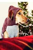 Peruvian Trading Co Womens Cozy Sweater Dog Hoodie