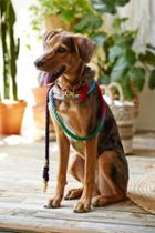 Found My Animal Womens Tie Dye Rope Leash