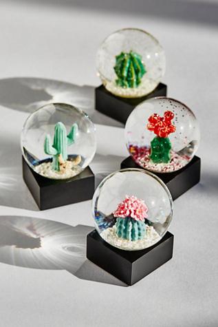 Free People Womens Fp Mini Cacti Snowglobe S