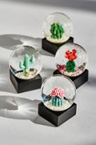 Free People Womens Fp Mini Cacti Snowglobe S