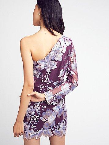Rosalie Embroidered Mini Dress By Free People