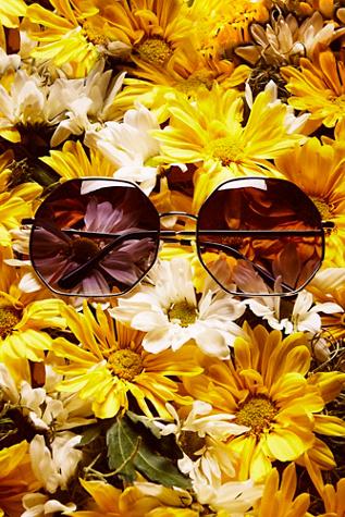 Free People Womens Hex On You Sunglass