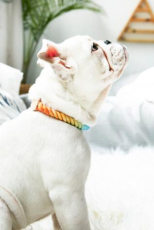 Free People Womens Tie Dye Rope Collar