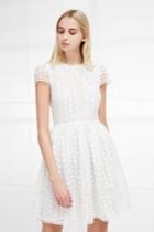 French Connenction Parker Lace Fit And Flare Dress