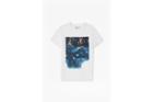 French Connection Dead Calm Graphic Print T-shirt