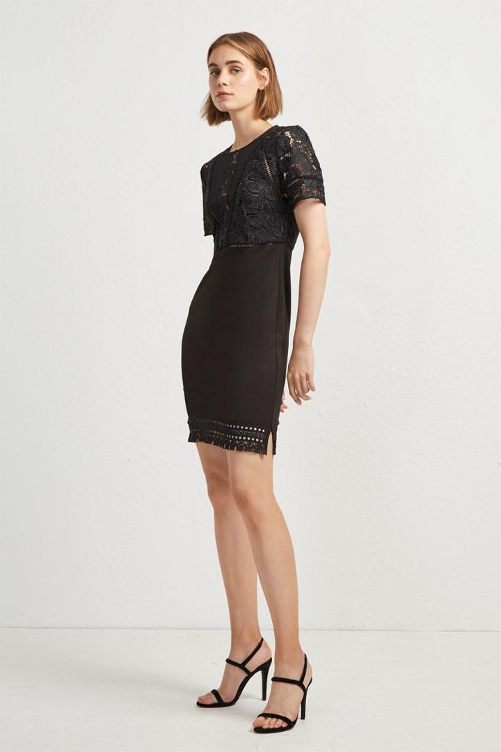 French Connenction Viola Lula Lace Jersey Dress