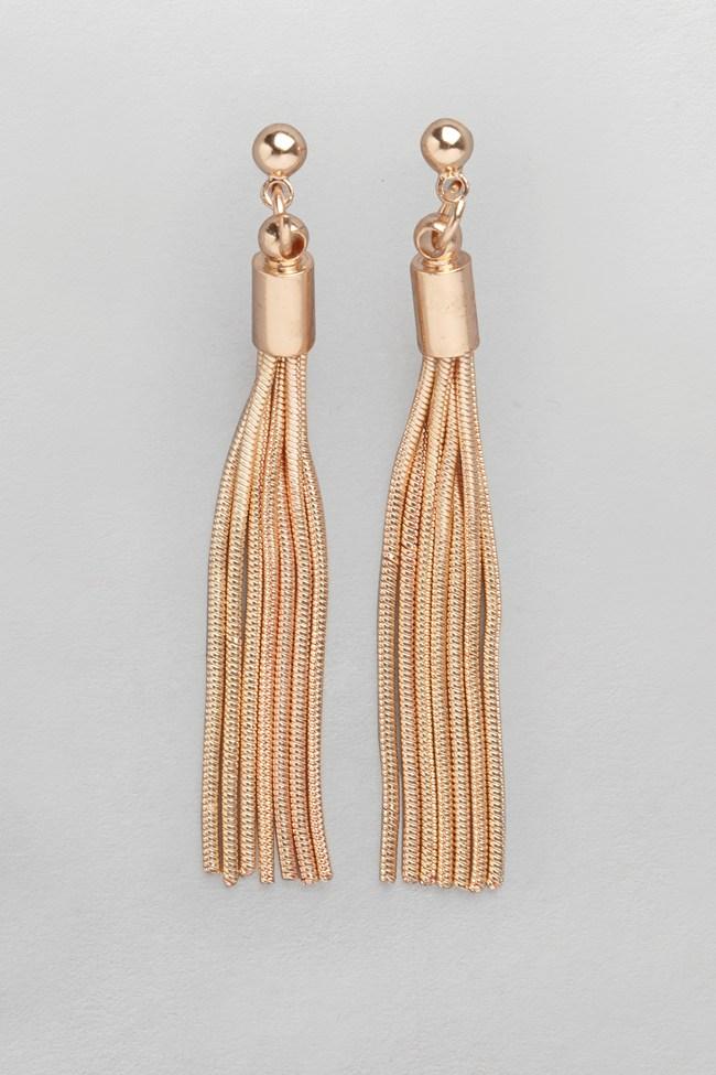 Snake Chain Tassel Earrings