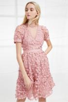 Fcus Caballo Lace High Neck Dress