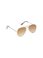Gap Classic Aviator Sunglasses - Tortoise Brown