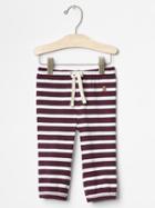 Gap Banded Stripe Pants - Ruby Wine