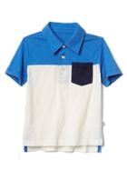 Gap Colorblock Short Sleeve Slub Polo - Tile Blue