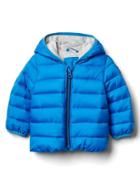 Gap Coldcontrol Lite Puffer Jacket - Blue