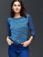 Gap Marled Stripe Sleeve Sweater - Blue Stripe