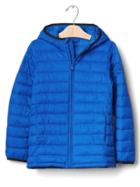 Gap Coldcontrol Lite Quilted Puffer Jacket - Blue Streak