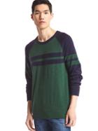 Gap Men Stripe Baseball Sweater - Green Stripe