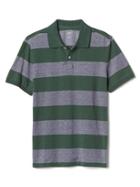 Gap Men Oxford Rugby Stripe Polo - Green Stripe