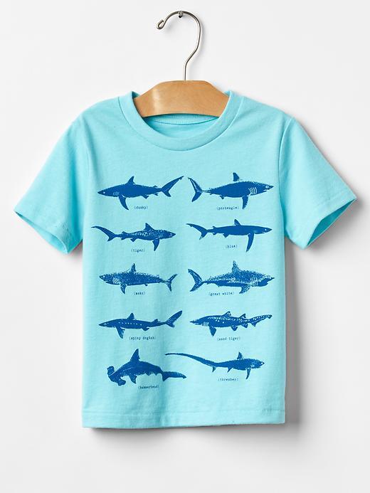 Gap Graphic Short Sleeve Tee - Splash Blue